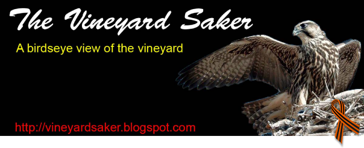Vineyard of the Saker (The Saker) 